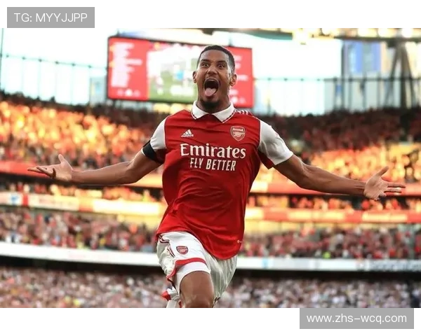 萨利巴、廷贝尔恢复训练，阿森纳后防迎利好